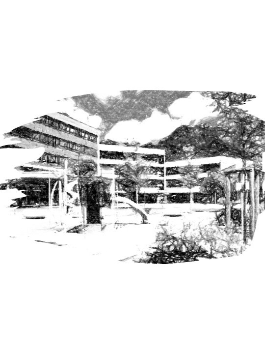 Gymnasium